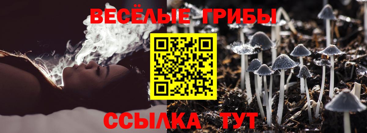 Галлюциногенные грибы Psilocybe  Вход с VPN  Псилоцибиновые грибы мицелий  купить наркотик  Нижний Новгород 