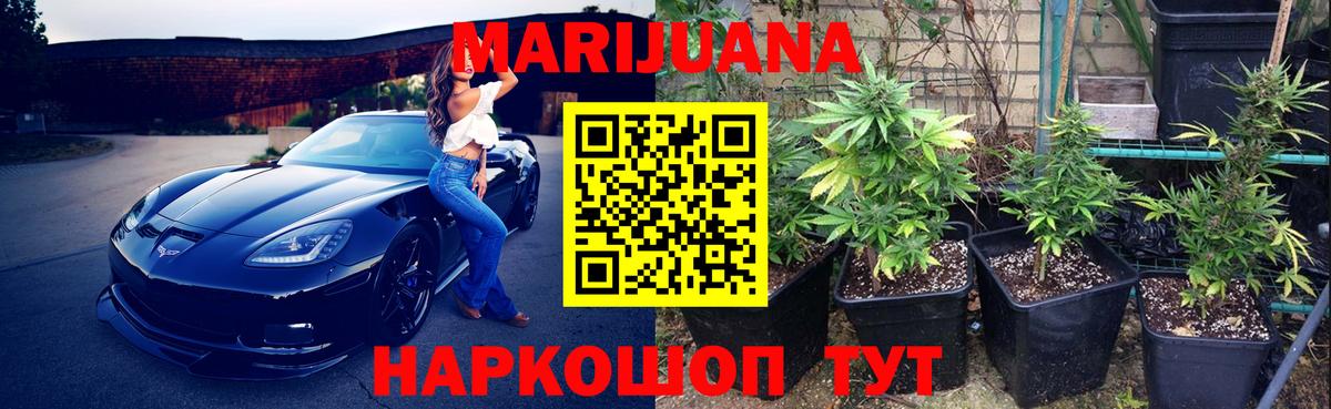 Шишки марихуана OG Kush Нижний Новгород